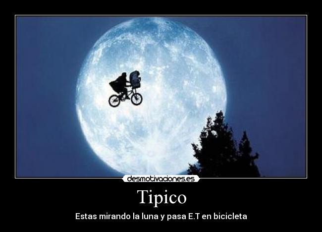 Tipico -