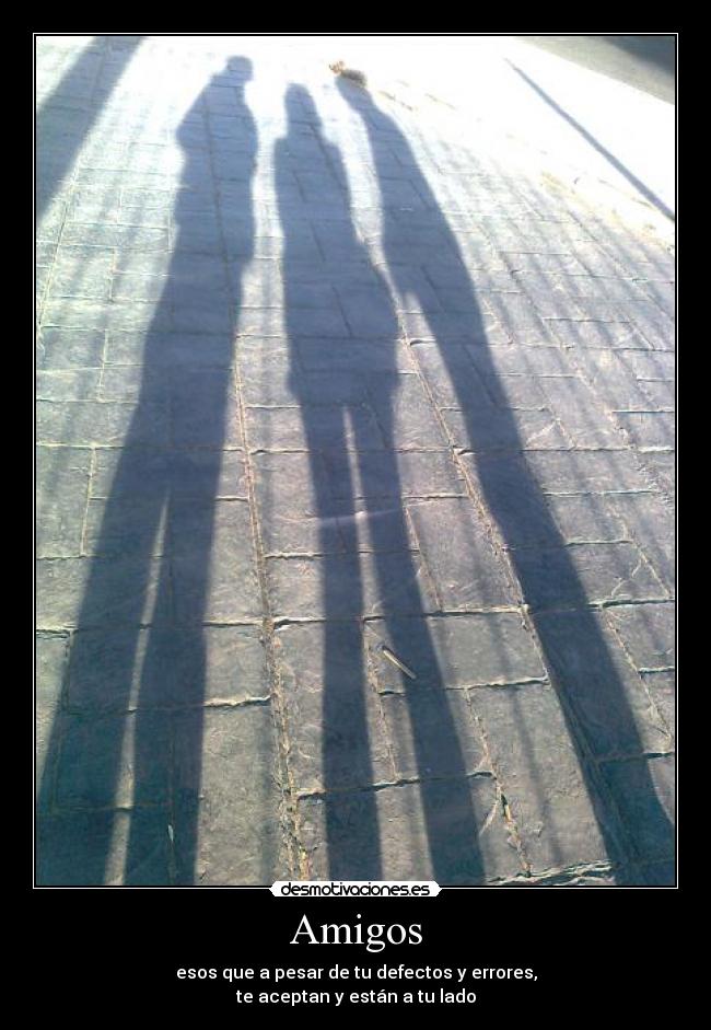 carteles amigos amigos defetos aseptacion desmotivaciones