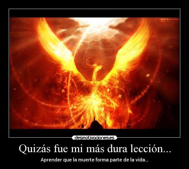 Quizás fue mi más dura lección... - 