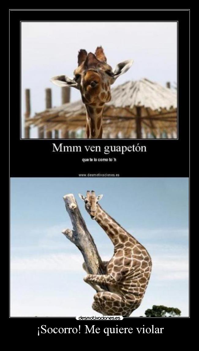 ¡Socorro! Me quiere violar -