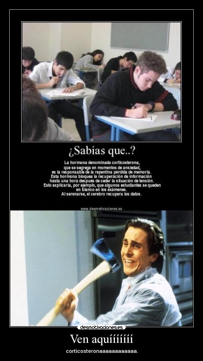 Ven aquííííííí - 