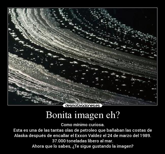 Bonita imagen eh? - Como mínimo curiosa.
Esta es una de las tantas olas de petroleo que bañaban las costas de
Alaska después de encallar el Exxon Valdez el 24 de marzo del 1989.
37.000 toneladas libero al mar.
Ahora que lo sabes, ¿Te sigue gustando la imagen?