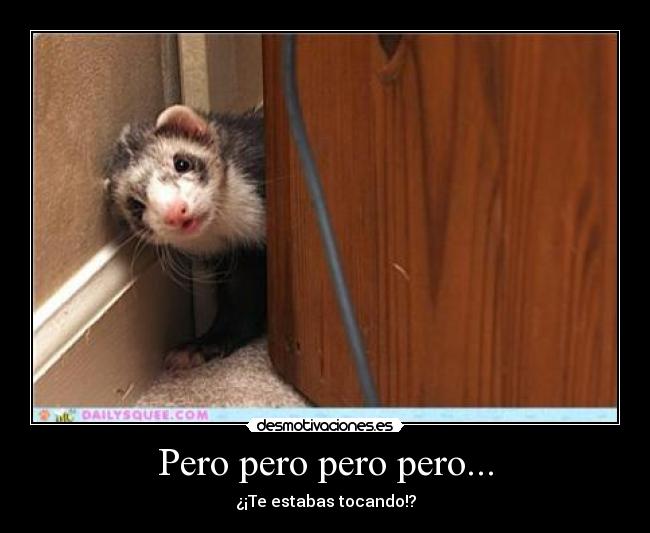 Pero pero pero pero... - ¿¡Te estabas tocando!?