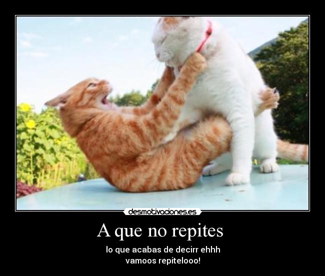 A que no repites  - lo que acabas de decirr ehhh
vamoos repitelooo!