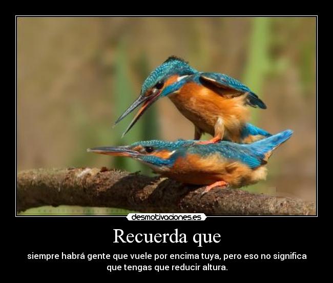 Recuerda que - siempre habrá gente que vuele por encima tuya, pero eso no significa
que tengas que reducir altura.