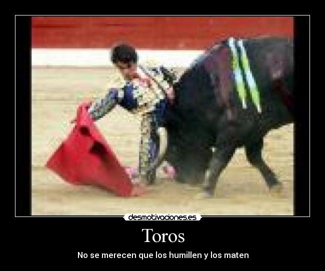 Toros - No se merecen que los humillen y los maten