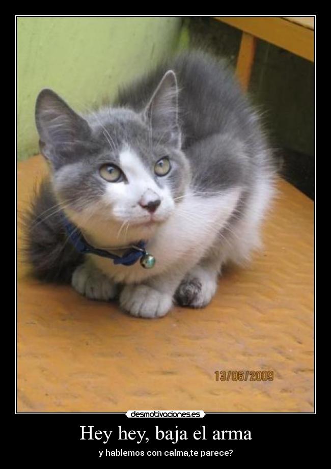 Hey hey, baja el arma -