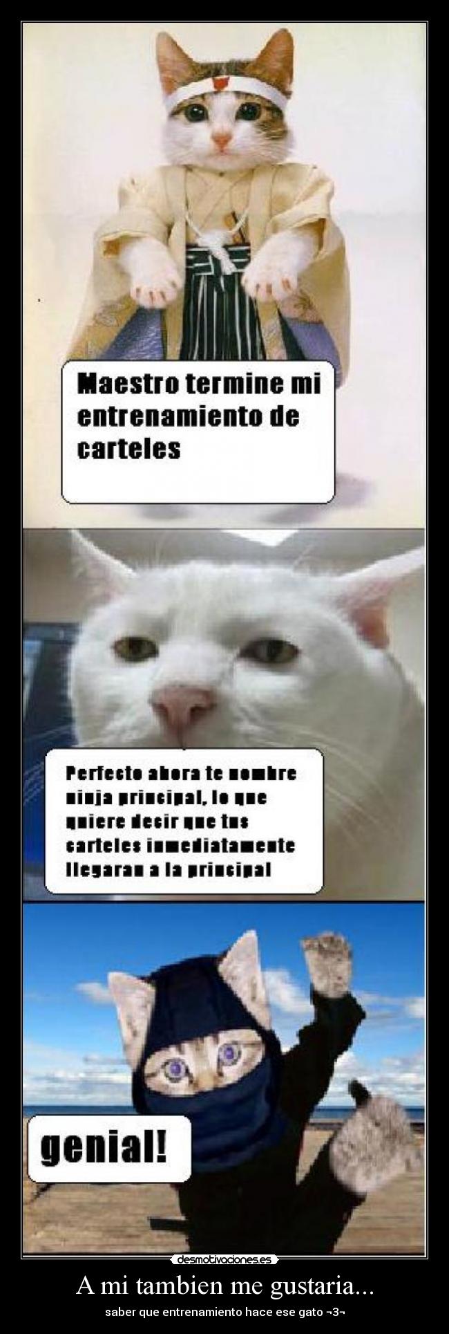 A mi tambien me gustaria... - 