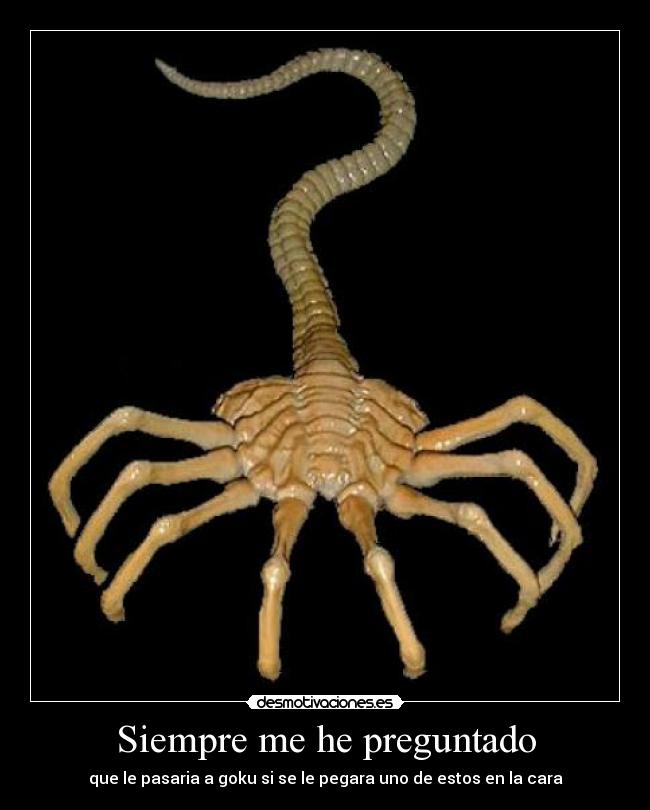 carteles siempre preguntado desmotivaciones