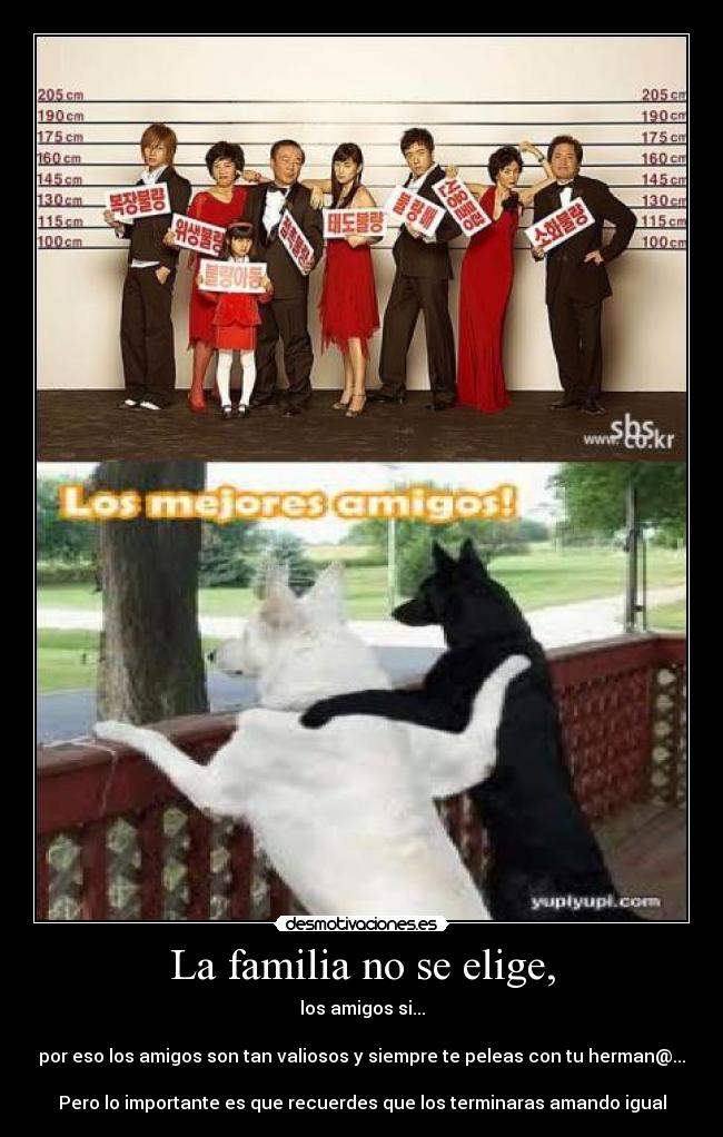 La familia no se elige, -