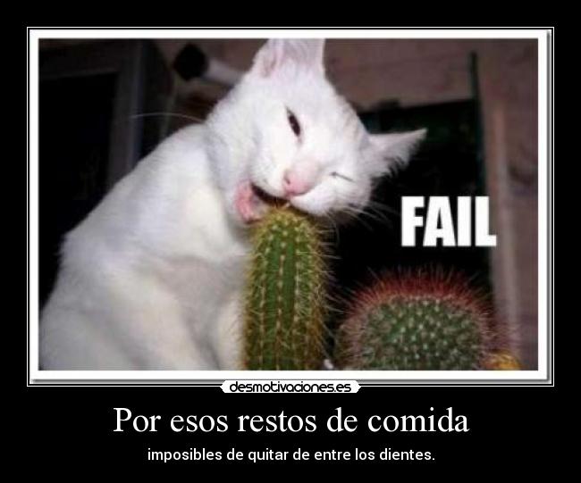 Por esos restos de comida - imposibles de quitar de entre los dientes.