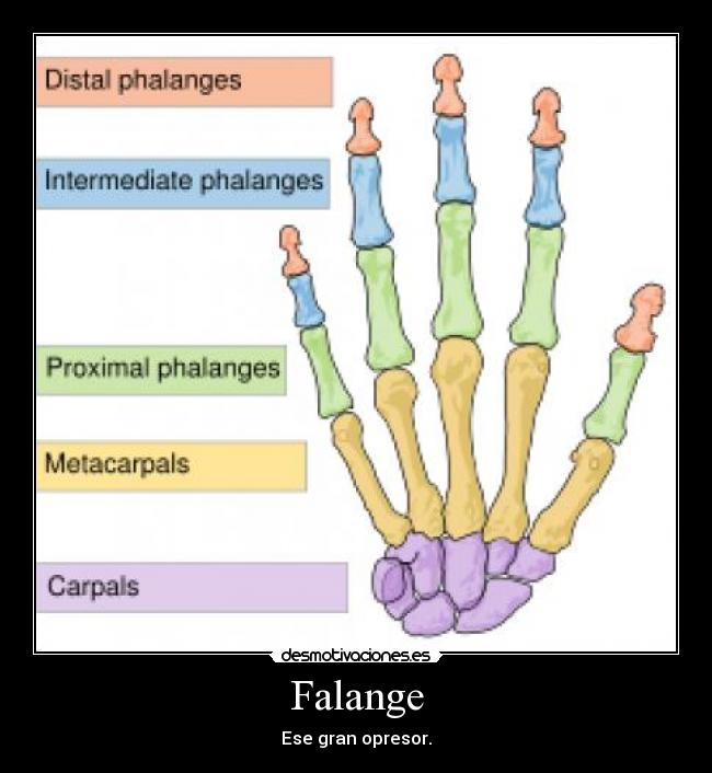 Falange - Ese gran opresor.