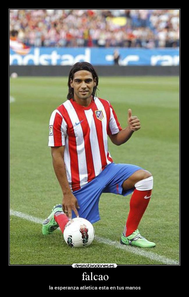 falcao -