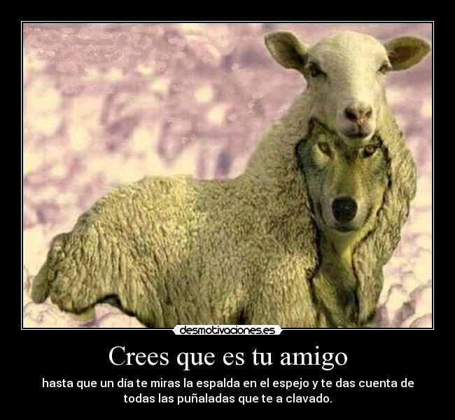 Crees que es tu amigo - hasta que un día te miras la espalda en el espejo y te das cuenta de
todas las puñaladas que te a clavado.