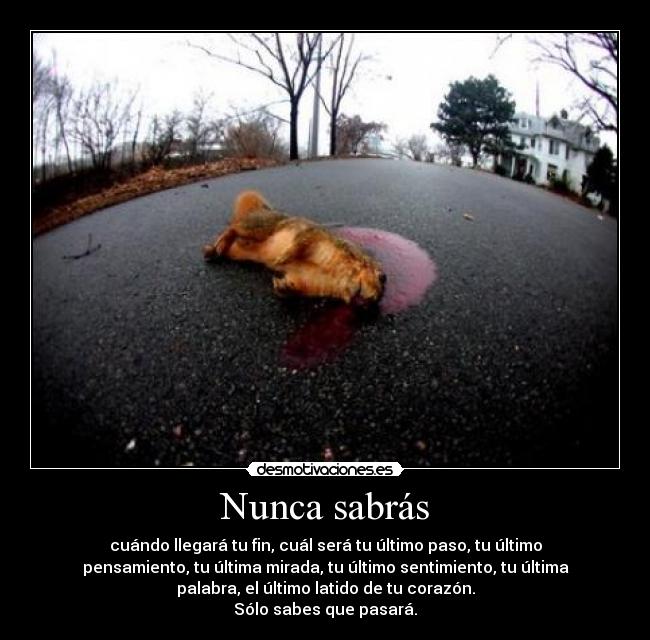Nunca sabrás - 