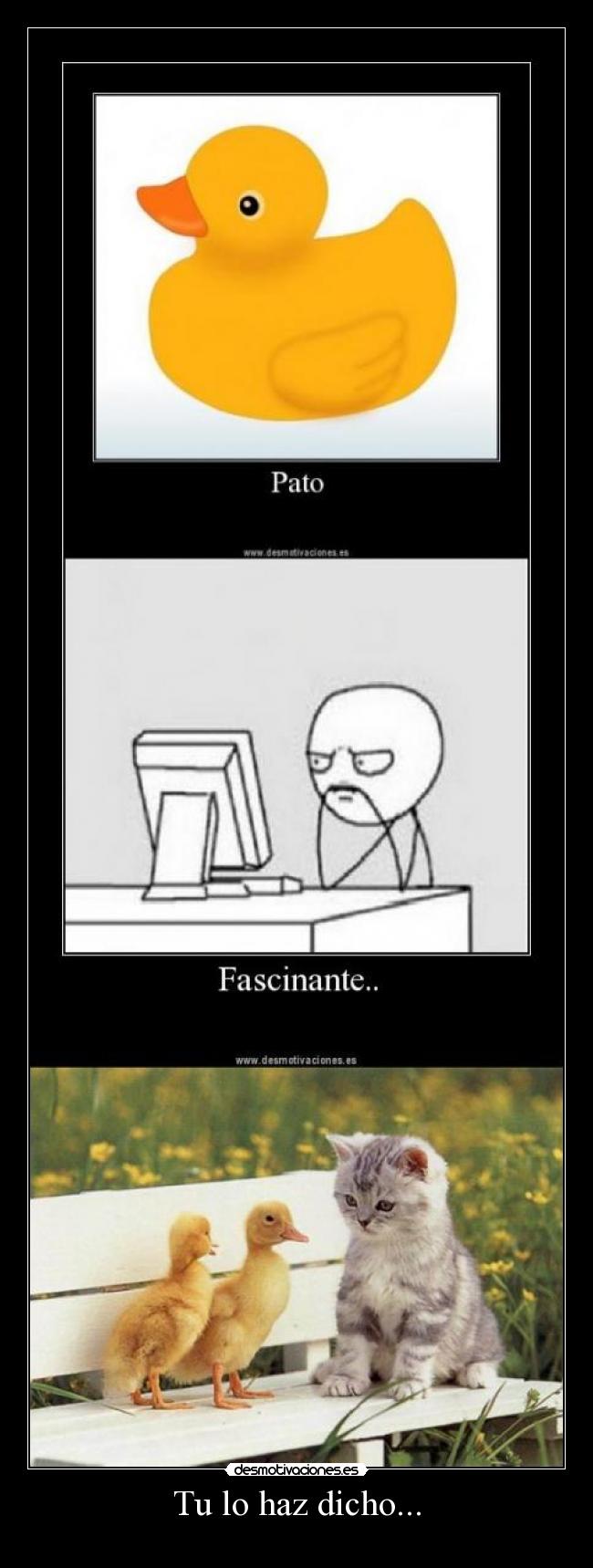 Tu lo haz dicho... - 