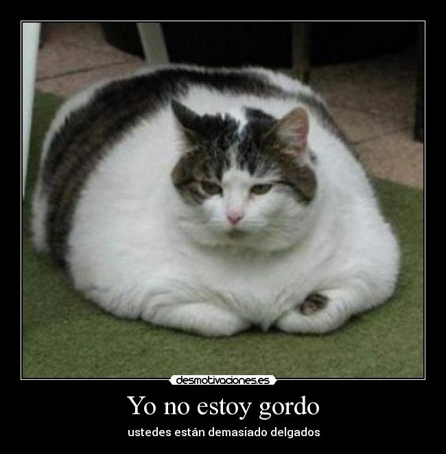 Yo no estoy gordo - ustedes están demasiado delgados