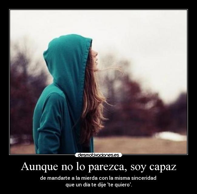 carteles capaz desmotivaciones