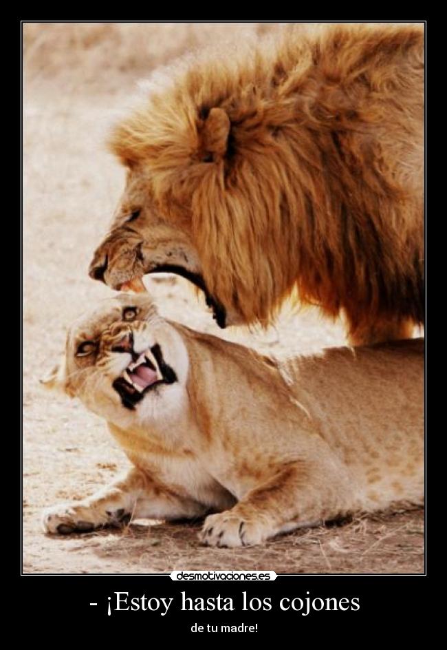- ¡Estoy hasta los cojones - 