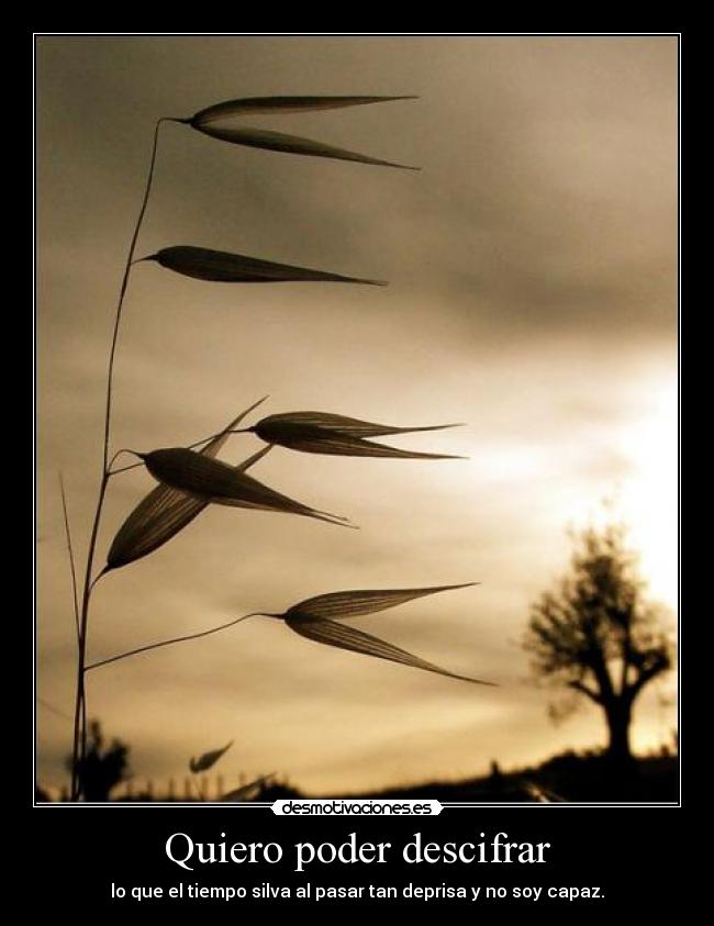 carteles tiempo desmotivaciones