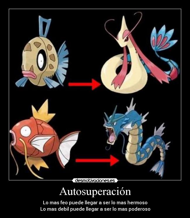 carteles feebasmiloticmagikarpgyarados desmotivaciones