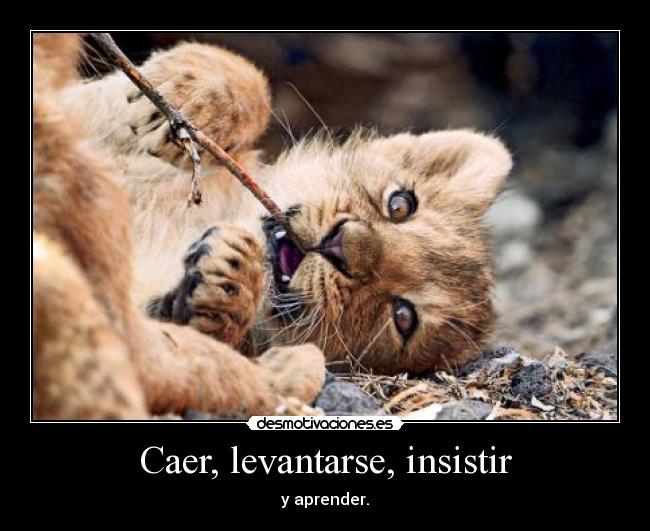 Caer, levantarse, insistir -