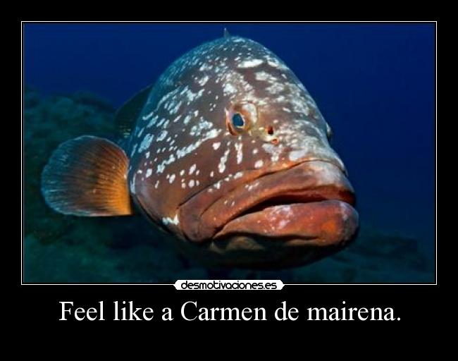 Feel like a Carmen de mairena. -