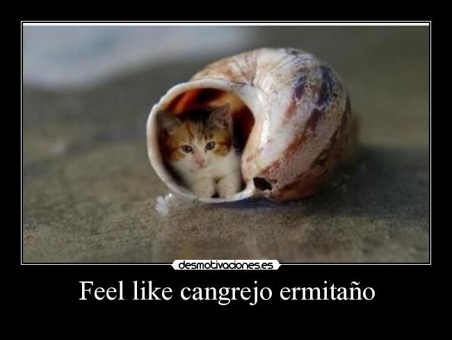 Feel like cangrejo ermitaño - 
