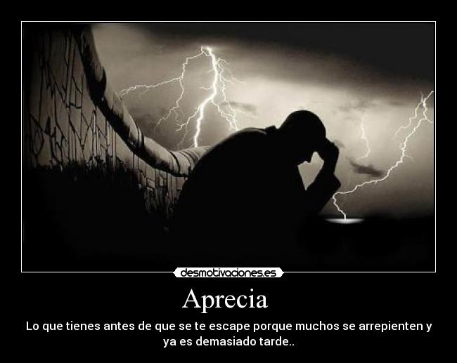 carteles aprecia que tienes desmotivaciones