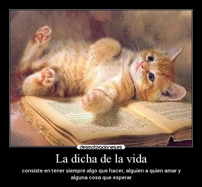 La dicha de la vida -