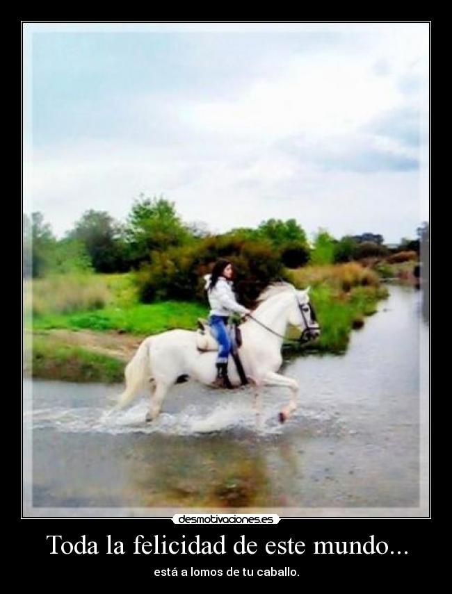 Toda la felicidad de este mundo... - está a lomos de tu caballo.