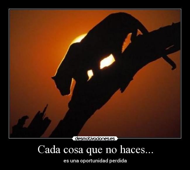 Cada cosa que no haces... - 