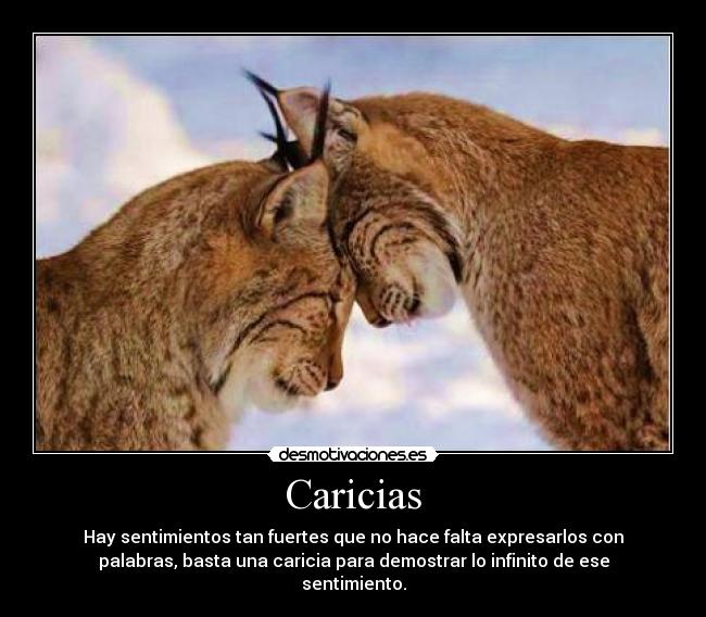 Caricias - Hay sentimientos tan fuertes que no hace falta expresarlos con
palabras, basta una caricia para demostrar lo infinito de ese
sentimiento.