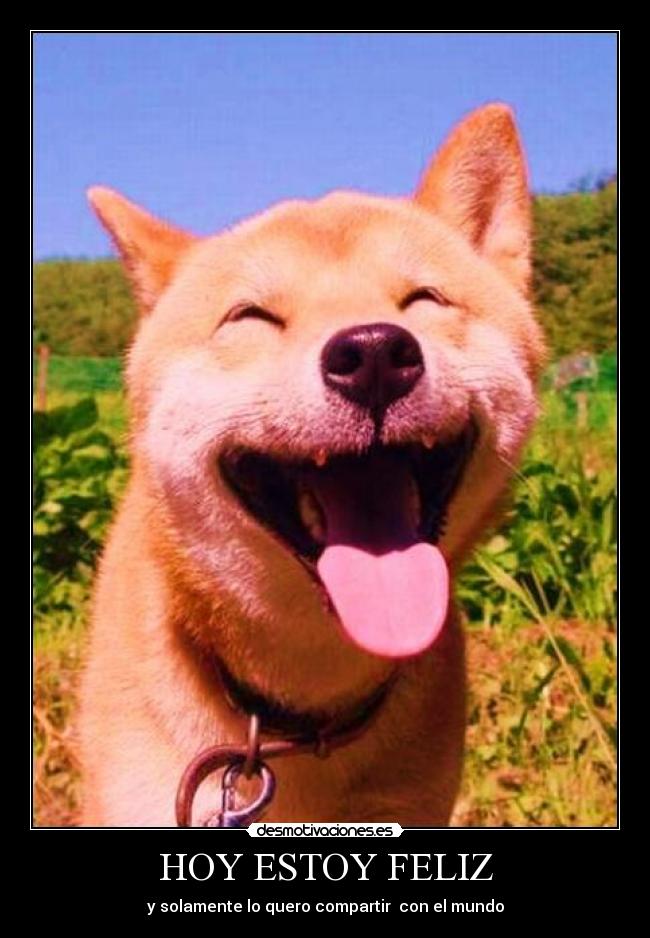 HOY ESTOY FELIZ -