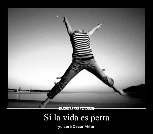 Si la vida es perra -