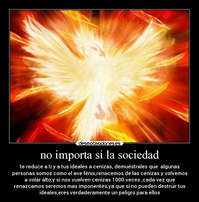 no importa si la sociedad - 