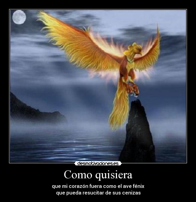 Como quisiera - que mi corazón fuera como el ave fénix
que pueda resucitar de sus cenizas