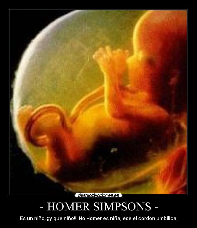 - HOMER SIMPSONS - -