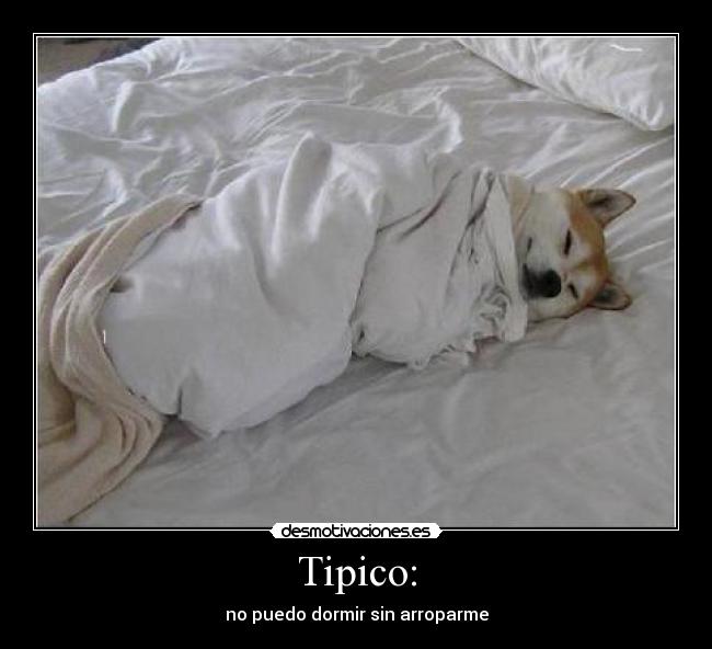 carteles  desmotivaciones