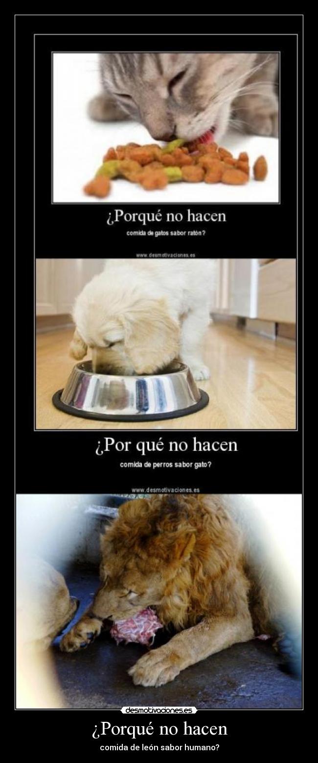 ¿Porqué no hacen - 