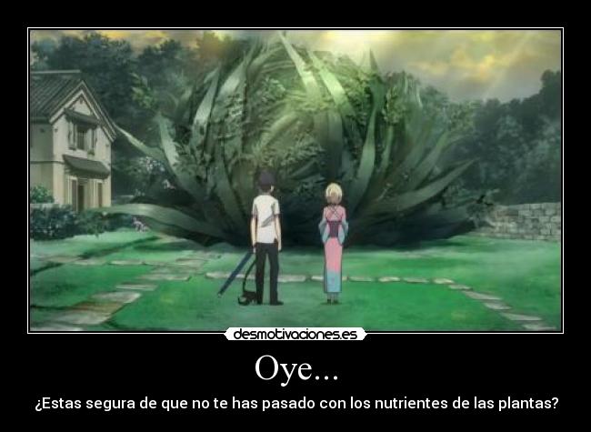 Oye... - ¿Estas segura de que no te has pasado con los nutrientes de las plantas?