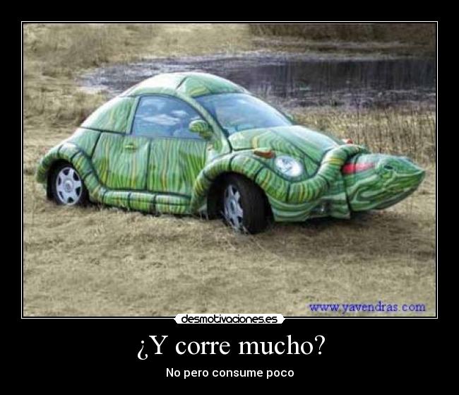 ¿Y corre mucho? -