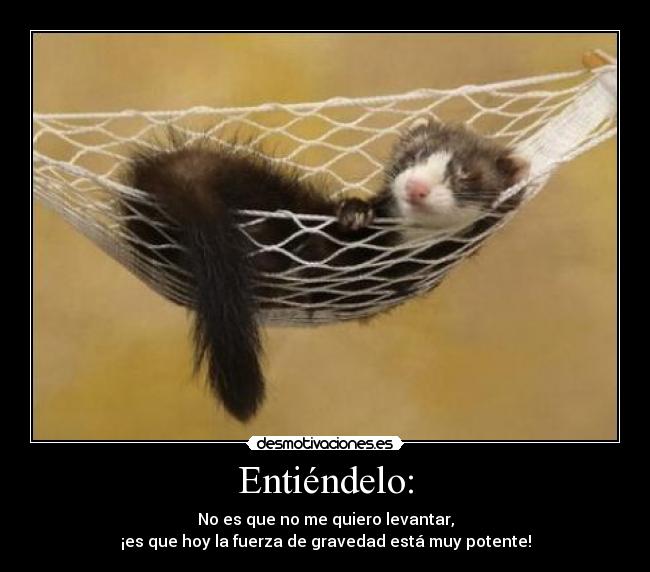 Entiéndelo: - No es que no me quiero levantar,
¡es que hoy la fuerza de gravedad está muy potente!