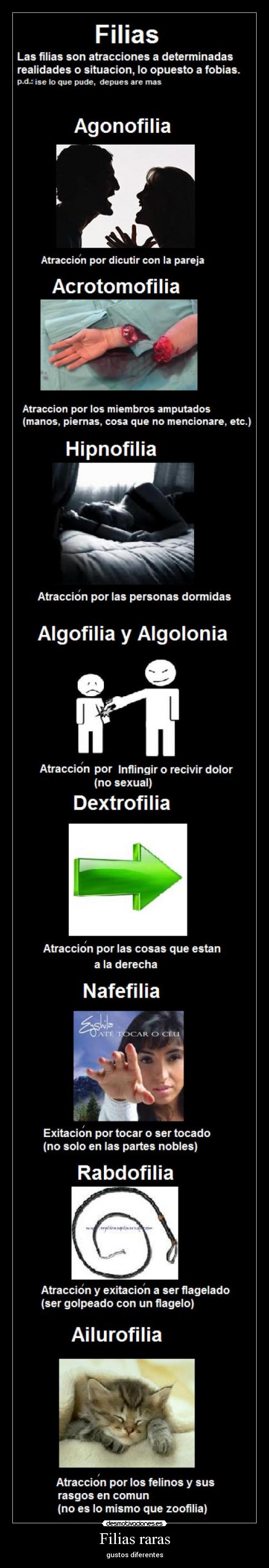 carteles filia filias raras atraccion excitacion discutir dormir amputar felinos gatos neko flagelo tocar desmotivaciones