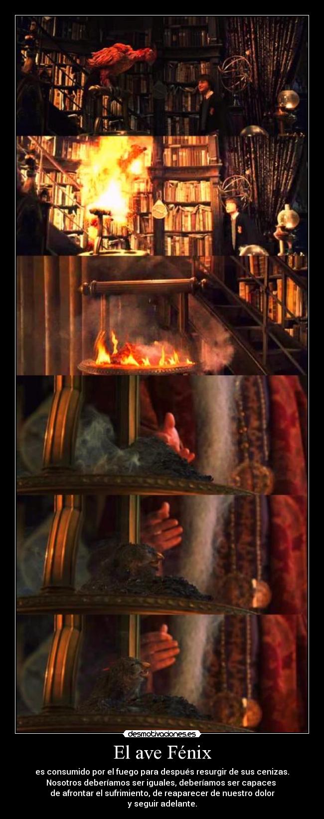 El ave Fénix -