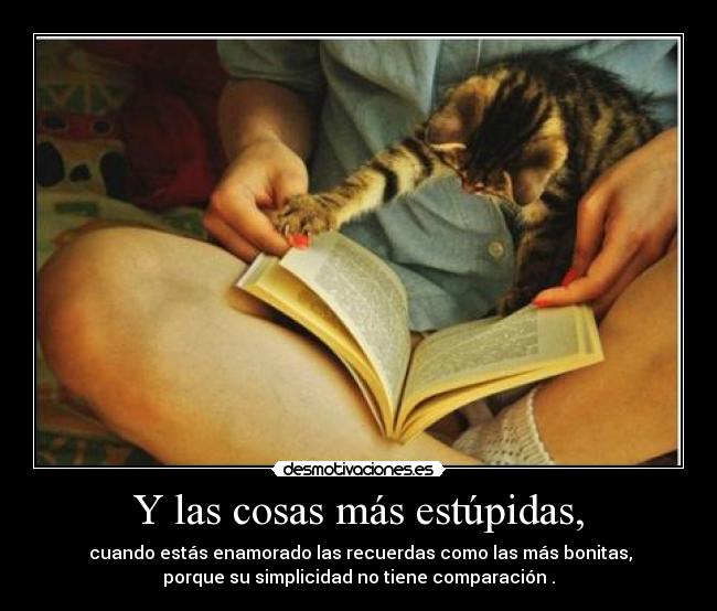 Y las cosas más estúpidas, - 