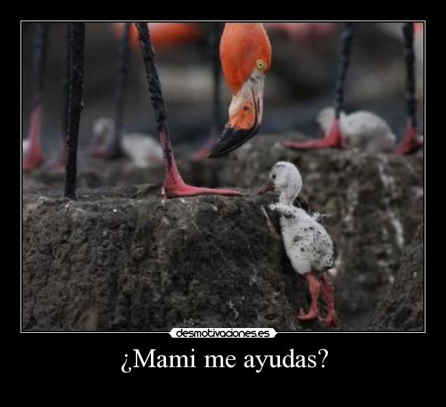 ¿Mami me ayudas? -