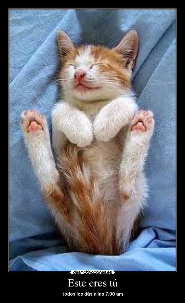 Este eres tú - todos los dás a las 7:00 am