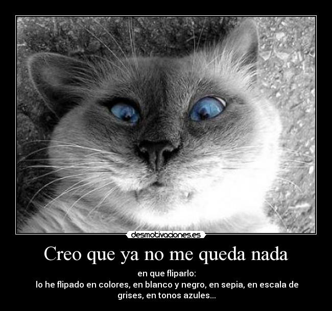 Creo que ya no me queda nada - en que fliparlo:
lo he flipado en colores, en blanco y negro, en sepia, en escala de
grises, en tonos azules...