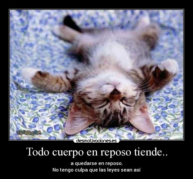 carteles todod desmotivaciones